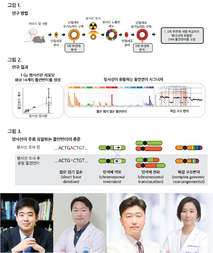 손태건 박사, 방사선유발 DNA 돌연변이 첫 규명(카이스트·서울대의대 공동연구)