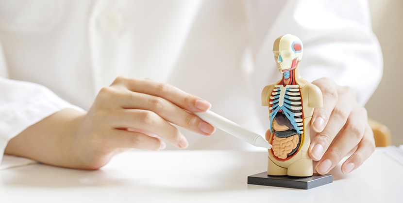 대장항문외과 ???treatment.image.alt.???