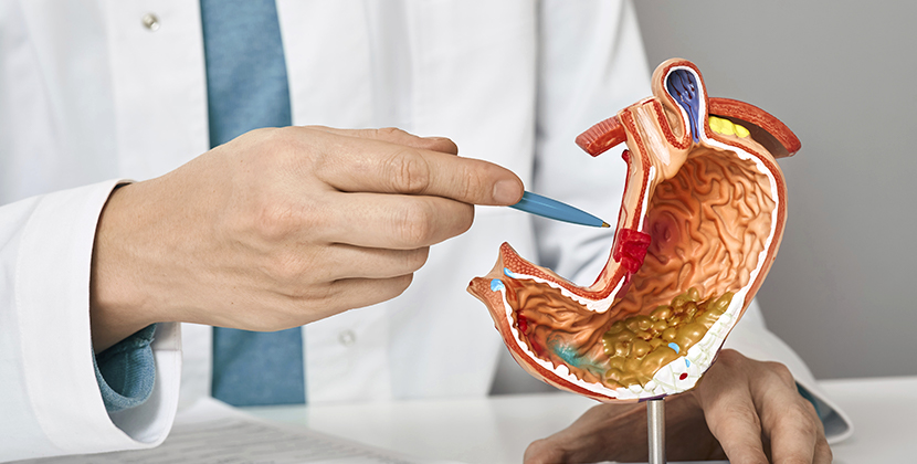 소화기내과 ???treatment.image.alt.???