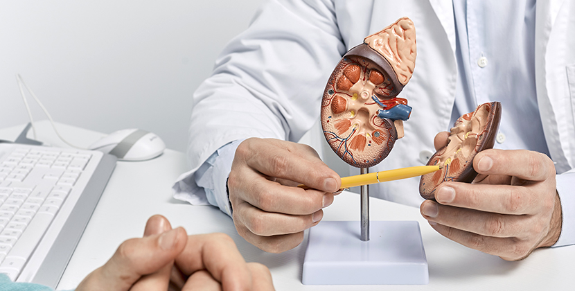 신장내과 ???treatment.image.alt.???