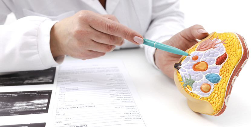 유방질환외과 ???treatment.image.alt.???