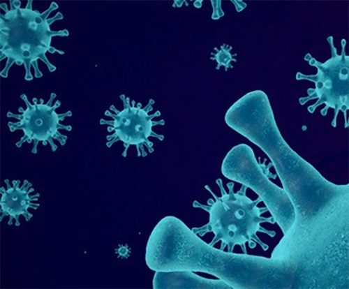 암 정밀 건강검진