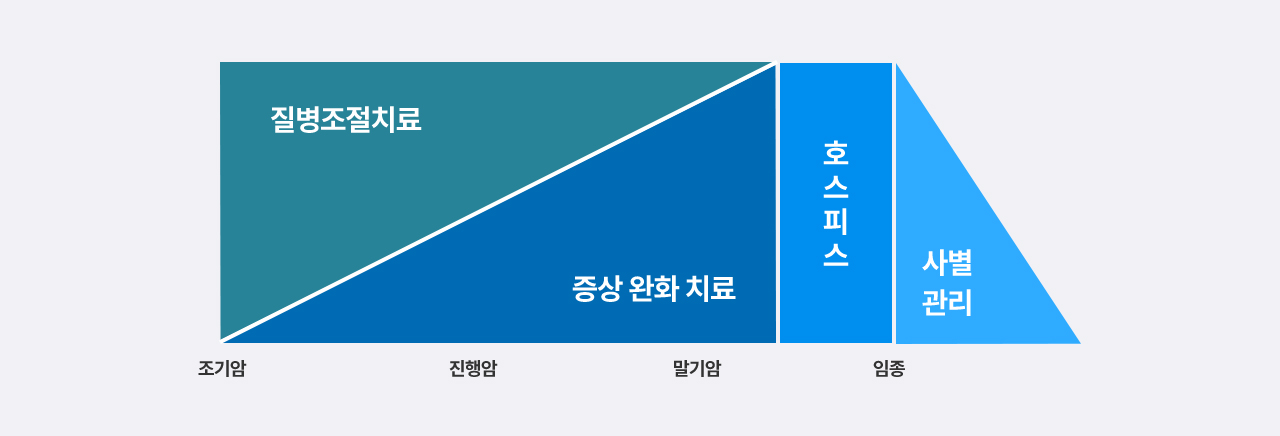 질병 진행 단계에 따라 조기암은 질병조절치료, 진행암과 말기암은 증상 완화 치료, 임종 단계는 호스피스와 사별 관리가 이루어짐을 나타낸 도식