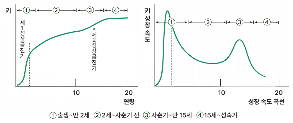 성장클리닉 > 진료과 소개